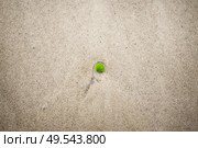 Green sanded glass in the water on a beach washed up on the shore in the summer. Стоковое фото, агентство Ingram Publishing / Фотобанк Лори