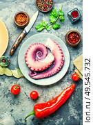 Fresh raw octopus and spice on plate.Uncooked octopus tentacles, seafood.. Raw tentacle of an octopus. Стоковое фото, агентство Ingram Publishing / Фотобанк Лори