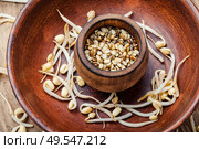 Dry moong dal usal and sprouted green gram spicy usal. Sprout whole mung dal. Стоковое фото, агентство Ingram Publishing / Фотобанк Лори