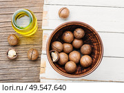 Bottle of macadamia nut oil and macadamia nuts. Macadamia nut oil. Стоковое фото, агентство Ingram Publishing / Фотобанк Лори