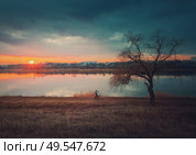 Rural landscape with sunset reflecting over the calm lake water, a bare willow tree on the dry grass meadow and a wanderer man silhouette walking a country road carrying firewood. Silent evening mood. Стоковое фото, агентство Ingram Publishing / Фотобанк Лори