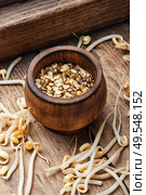 Set dry green bean and sprouts moong or mung. Sprout whole moong dal. Стоковое фото, агентство Ingram Publishing / Фотобанк Лори