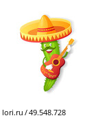 Fiesta or Cinco de Mayo festival, Mexican cactus in sombrero vector. Plant with mustache and guitar, Mexico symbol, mariachi and musical instrument. Mexican Cuctus in Sombrero, Guitar and Mustache. Стоковая иллюстрация, агентство Ingram Publishing / Фотобанк Лори