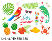Tropical plants and animals, enjoy summer, cocktails and fruits vector. Parrot and gecko, ice cream and drink, palm leaves and watermelon, pineapple. Enjoy Summer, Tropical Wild Plants and Animals. Стоковая иллюстрация, агентство Ingram Publishing / Фотобанк Лори