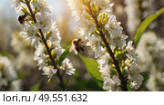 A bee collecting nectar on a blooming apple tree in close-up. Macro photography. Natural food. The disappearance of bees. Стоковое AI-изображение, AI-художник Photojuli / Фотобанк Лори