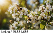 A bee collecting nectar on a blooming apple tree in close-up. Macro photography. Natural food. The disappearance of bees. Стоковое AI-изображение, AI-художник Photojuli / Фотобанк Лори