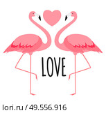 Cute card with flamingos. Love and Valentine’s day Background. Vector Illustration EPS10. Cute card with flamingos. Love and Valentine’s day Background. Vector Illustration. Стоковая иллюстрация, агентство Ingram Publishing / Фотобанк Лори