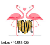 Cute card with flamingos. Love and Valentine’s day Background. Vector Illustration EPS10. Cute card with flamingos. Love and Valentine’s day Background. Vector Illustration. Стоковая иллюстрация, агентство Ingram Publishing / Фотобанк Лори