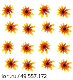Colorful yellow echinacea on white background. Seamless pattern. Vector illustration. EPS10. Colorful yellow echinacea on white background. Seamless pattern. Vector illustration. Стоковая иллюстрация, агентство Ingram Publishing / Фотобанк Лори
