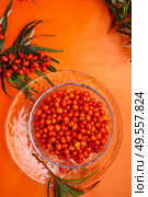 ripe sea buckthorn berries with branch around orange background.  flat lay. Стоковое фото, агентство Ingram Publishing / Фотобанк Лори
