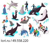 Show in dolphinarium isometric set with adult and child characters looking at seal dolphin orca performing exercises isolated vector illustration. Стоковая иллюстрация, агентство Ingram Publishing / Фотобанк Лори