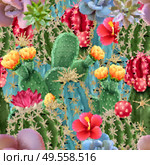 Cactus colorful seamless botanical pattern with different kinds of popular indoor flowering succulents vector illustration. Стоковая иллюстрация, агентство Ingram Publishing / Фотобанк Лори