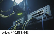 Data network switch with connected cables in dimly lit environment. Стоковое AI-видео, аниматор KATERINA AI / Фотобанк Лори