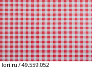 Красно-белая клетчатая ткань для пикника. Стоковое AI-изображение, AI-художник Александр Жуков / Фотобанк Лори