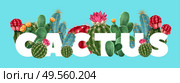 Cactus floral tropical vector illustration with different varieties of succulents and cacti including gymnocalycium and opuntia. Стоковая иллюстрация, агентство Ingram Publishing / Фотобанк Лори