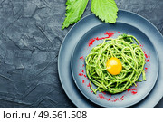 Italian traditional pasta with green nettle sauce.Space for text. Pasta with herbal sauce. Стоковое фото, агентство Ingram Publishing / Фотобанк Лори