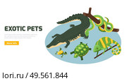 Exotic pets animals amphibian reptile online shop banner with alligator turtle chameleon isometric circular composition vector illustration. Стоковая иллюстрация, агентство Ingram Publishing / Фотобанк Лори