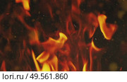Burning fire flame on dark background. Стоковое видео, видеограф Михаил Коханчиков / Фотобанк Лори