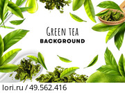 Green tea white background with herbal frame  of fresh leaves and piles of dry tea realistic vector illustration. Стоковая иллюстрация, агентство Ingram Publishing / Фотобанк Лори