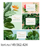 Exotic tropical houseplants 4 realistic advertising banners set with bird paradise flower hibiscus cacti monstera vector illustration. Стоковая иллюстрация, агентство Ingram Publishing / Фотобанк Лори