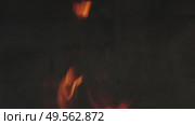 Burning fire flame on dark background. Стоковое видео, видеограф Михаил Коханчиков / Фотобанк Лори