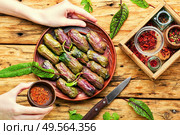 Traditional oriental dolma in grape leaves on rustic wooden table. Traditional Turkish dolma. Стоковое фото, агентство Ingram Publishing / Фотобанк Лори