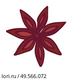 Cinnamon or aroma flower, anise star coffee shop, java aromatic ingredient. Flavor enhancer, brown petals, tasty blossom, canella in flat design style vector. Coffee Shop, Aromatic Ingredient, Canella Vector. Стоковая иллюстрация, агентство Ingram Publishing / Фотобанк Лори
