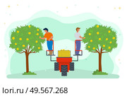 People on lifting machine vector, garden harvesting farming. Apple trees with fruits, seasonal works. Machinery harvest platform for picking organic products. Picking apples concept. Flat cartoon. Harvesting Season People Using Lifter Machine. Стоковая иллюстрация, агентство Ingram Publishing / Фотобанк Лори