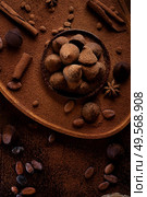 healthy delicious chocolate truffles around ingridients with natural cocoa beans,  powder, cacao butter, cane sugar. healthy sweets concept. flat lay. Стоковое фото, агентство Ingram Publishing / Фотобанк Лори