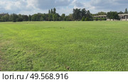 Beautiful morning light in public park with green grass field. Стоковое видео, видеограф Ирина Старикова / Фотобанк Лори