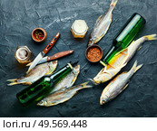 Dried fish on the table,salty dry sea fish for beer. Sun dried fish. Стоковое фото, агентство Ingram Publishing / Фотобанк Лори