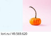 Orange pumpkin on pink and blue background, fall feasts and holidays concept. pumpkin on table. Стоковое фото, агентство Ingram Publishing / Фотобанк Лори