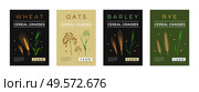 Cereal grasses poster set of wheat oats barley rye spikelet images isolated vector illustration. Стоковая иллюстрация, агентство Ingram Publishing / Фотобанк Лори