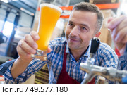 portrait of bartender serving beer. Стоковое фото, агентство Ingram Publishing / Фотобанк Лори
