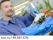 a fishmonger is serving shellfish. Стоковое фото, агентство Ingram Publishing / Фотобанк Лори