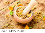 Dried calendula in a mortar and pestle.Herbal medicine and homeopathy. Calendula in herbal medicine. Стоковое фото, агентство Ingram Publishing / Фотобанк Лори