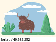 Big muskox stand on grass in wood or lawn. Beast in wilderness or zoo. Bull or musk ox with brown fur coat. Countryside nature with spruces and trees. Vector illustration of wild animal in flat style. Muskox or Bull, Wild Animal Standing on Meadow. Стоковая иллюстрация, агентство Ingram Publishing / Фотобанк Лори