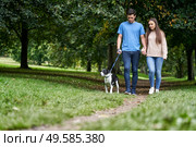 Young couple walking their pet dog along path in the park. Стоковое фото, агентство Ingram Publishing / Фотобанк Лори