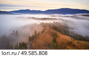 Autumn rural landscape. Cold November morning. Morning fog in mountain valley. Forest covered by low clouds. Misty fall woodland. Picturesque resort Carpathians range, Ukraine, Europe. Стоковое фото, агентство Ingram Publishing / Фотобанк Лори