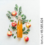 Homemade apple vinegar in glass bottle with apples and green leaves on white background. Top view. Стоковое фото, агентство Ingram Publishing / Фотобанк Лори