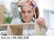 diy enthusiast screwing a furniture. Стоковое фото, агентство Ingram Publishing / Фотобанк Лори