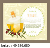 Glassware golden liquid, jojoba oil. Branch with green leaves and brown drupes near glass bottle, vessel. Information about aromatic product used in dermatology and cosmetology. Vector illustration. Information About Jojoba Oil in Vessel, Liquid. Стоковая иллюстрация, агентство Ingram Publishing / Фотобанк Лори