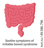 Soothe symptoms of irritable bowel syndrome isolated organ in abdomen. Spasms and painful feeling in belly. Sickness or disease caused by problems. Abdominal cramps suffering, vector in flat style. Soothe Symptoms of Irritable Bowel Syndrome Vector. Стоковая иллюстрация, агентство Ingram Publishing / Фотобанк Лори