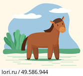Domestic animal, horse stand on ground on meadow. Rustic hoss on farm, cute character look at you. Village or countryside nature with shrubs and grass. Vector illustration of livestock in flat style. Horse or Stallion, Domestic Animal Stand on Meadow. Стоковая иллюстрация, агентство Ingram Publishing / Фотобанк Лори