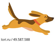 Dog with brown spotted running in autumn park. Side view of colorful doggy going outdoor. Adorable animal labrador walking outside. Active hound character on white, vector favorite pet. Dog Running in Autumn Park, Doggy Going Vector. Стоковая иллюстрация, агентство Ingram Publishing / Фотобанк Лори