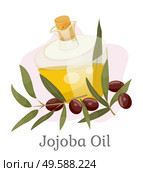 Glass vessel golden liquid inside, jojoba oil. Branch with green leaves and brown drupes near glassware. Aromatic product used in dermatology and cosmetology. Vector illustration in flat style. Golden Jojoba Oil in Vessel, Branch with Drupes. Стоковая иллюстрация, агентство Ingram Publishing / Фотобанк Лори