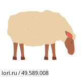 Farming vector, sheep isolated lamb with wool flat style character, cute fluffy animal on farm standing in farmyard, domestic pet breeding and caring. Sheep with Fluffy Wool, Small Young Lamb Vector. Стоковая иллюстрация, агентство Ingram Publishing / Фотобанк Лори