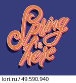 Colorful decorative handwritten typography design with spring is here text. Spring hand lettering illustration design. Colorful flat vector illustration. . Стоковая иллюстрация, агентство Ingram Publishing / Фотобанк Лори
