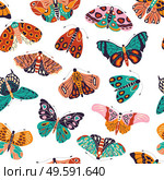 Seamless pattern with colorful hand drawn butterflies and moths on white background. Stylized flying insects, vector illustration. . Стоковая иллюстрация, агентство Ingram Publishing / Фотобанк Лори