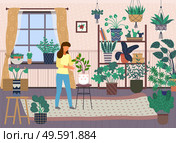 Woman spray plant with water. Female caring for house plants. Green home garden or greenhouse with plants in pots. Growing houseplants. Home leisure, hobby, everyday activities. Home jungle design. Woman caring for plants, green home garden, room with a lot of house plants, cactuses, hobby time. Стоковая иллюстрация, агентство Ingram Publishing / Фотобанк Лори